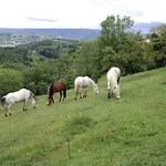 Maison En Pierres Proche Agnac *