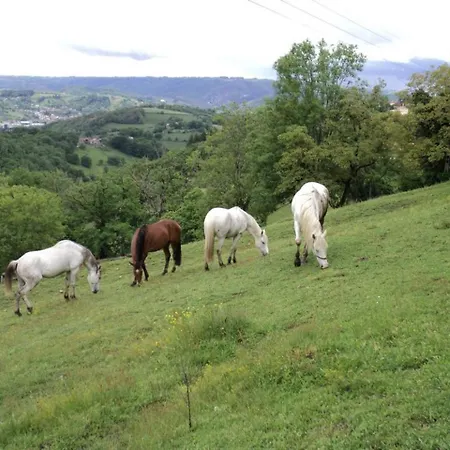 Maison En Pierres Proche Agnac *